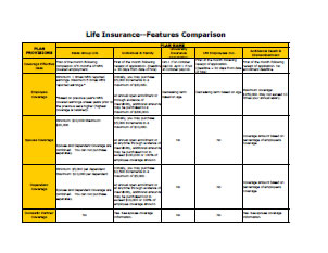 Life Insurance Comparison Chart